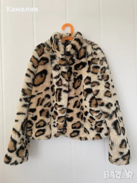 Тигрово палтенце, снимка 1