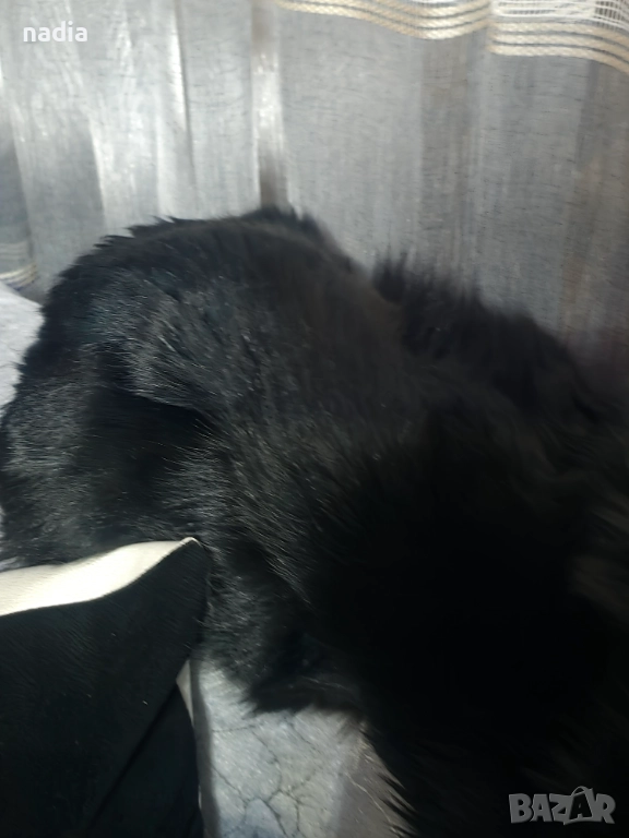 Кожух от заек, снимка 1
