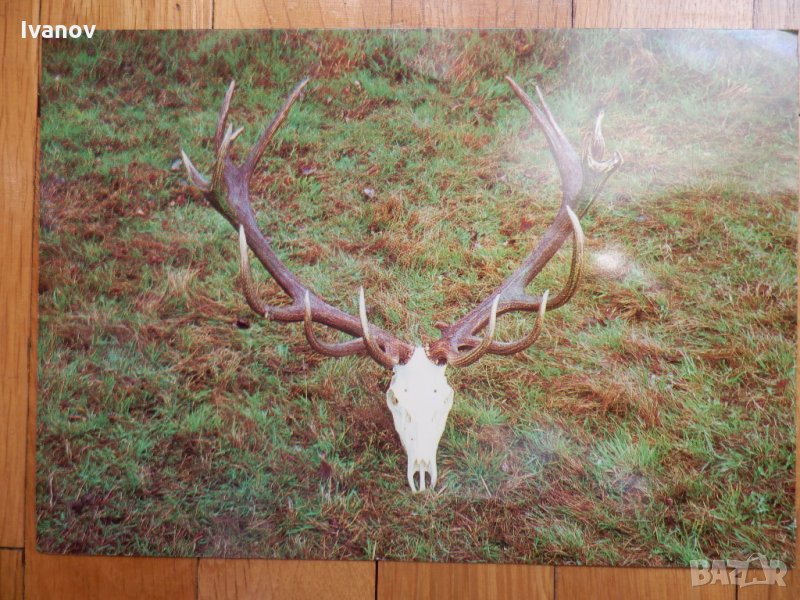 Картичка с автограф на Т. Живков, снимка 1