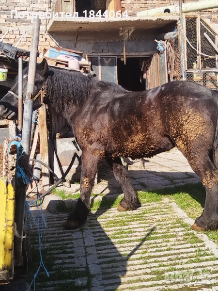 Продава се! , снимка 1