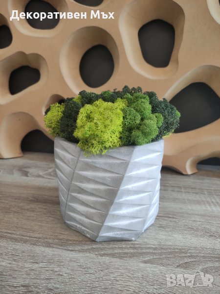 Кашпи с декоративен скандинавски мъх за дома/офиса-арт,модерно,свежо, снимка 1
