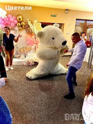 Бяло Мече , Lava Bear И Зайче за вашата незабравима изненада Обхват Северна и Северозападна България, снимка 6 - Други - 49672423