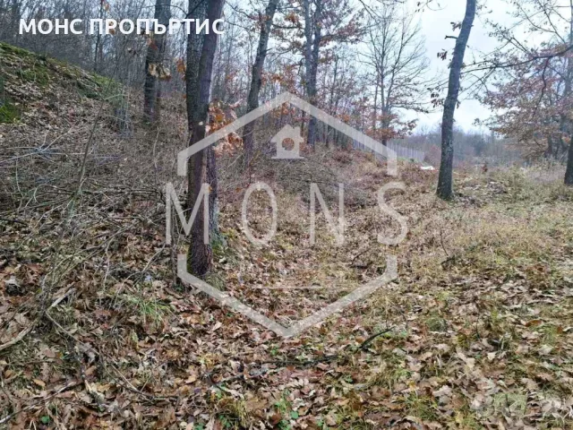 Парцел  в с. Габровци, обл. В. Търново, снимка 5 - Парцели - 48601978