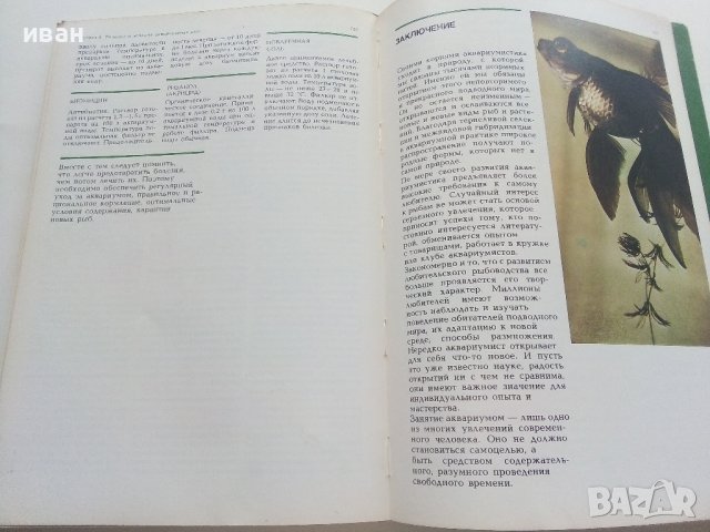 Мир аквариума - Г.Романишин,В.Мишин - 1986г., снимка 6 - Други - 36936774