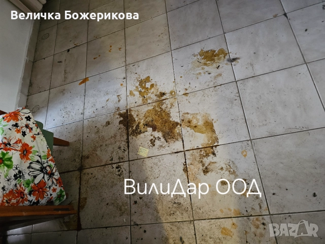 Почистване , снимка 6 - Почистване на домове - 52119218