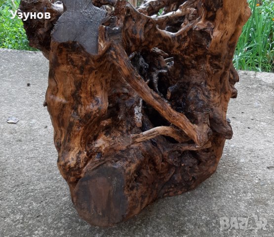 Декорация за градина-корен от дъб, снимка 5 - Декорация за дома - 37780550