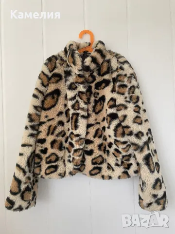 Тигрово палтенце