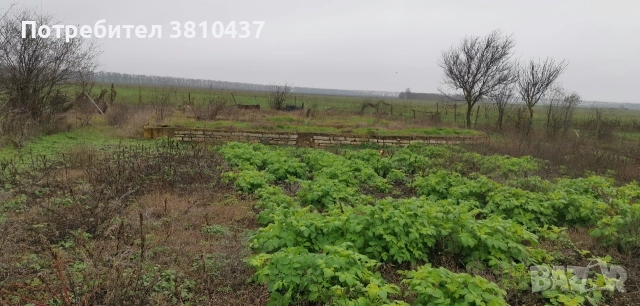 продавам къшта въф с, соколово гр Балчик , снимка 2 - Къщи - 52706237