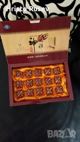 Тибетска дъвка 