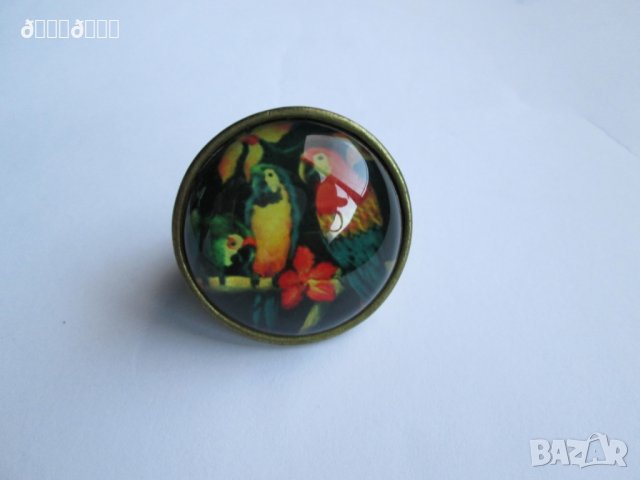 Огромен пръстен Pull & Bear с папагали