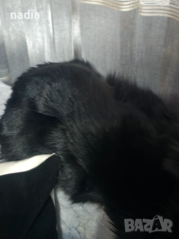 Кожух от заек