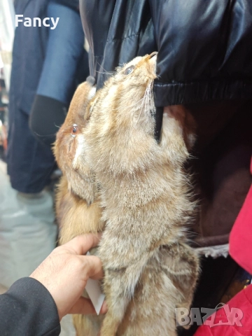 Яка естествен косъм, снимка 8 - Шалове - 52454210