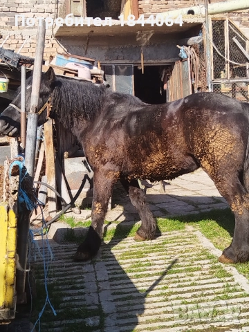 Продава се! 