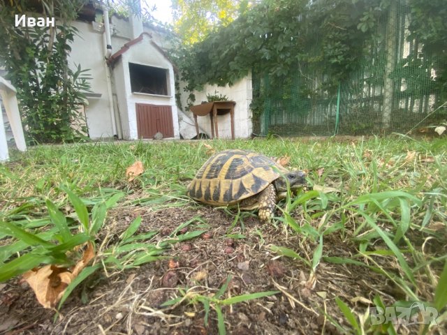 Вила Гърция под наем, снимка 5 - Почивки в Гърция - 27495370