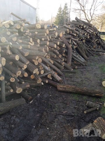 Дърва за огрев "Акация", снимка 4 - Дърва за огрев - 35403693