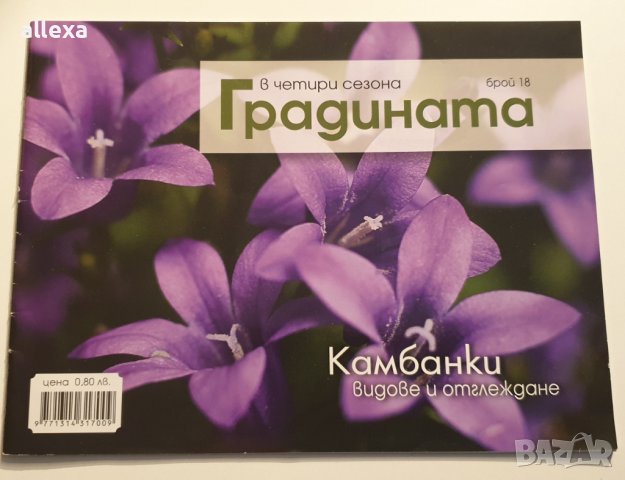 " Камбанки - видове и отглеждане " в Енциклопедии, справочници в гр ...