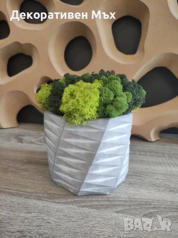 Кашпи с декоративен скандинавски мъх за дома/офиса-арт,модерно,свежо