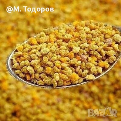 Изкупувам пчелен прашец!