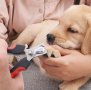  Резачка и пиличка за кучешки и котешки нокти., снимка 7
