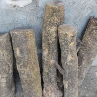 Чемшир - дървен материал за украсна резба, снимка 12 - Антикварни и старинни предмети - 18621658