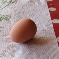 Изкуствени пластмасови яйца за кокошки тежки, снимка 15 - За птици - 40032040