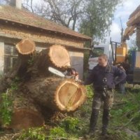 Кастрене, почистване на дворове и премахване на опасни дървета., снимка 8 - Други услуги - 43183562