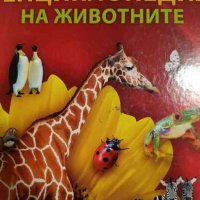 Енциклопедия на животните, снимка 1 - Енциклопедии, справочници - 44029644