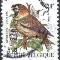 Клеймована марка Фауна Птица 1985 от Белгия, снимка 1 - Филателия - 40107059