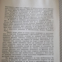 Книга "Конете на Лизип - Зенон Косидовски" - 300 стр., снимка 4 - Специализирана литература - 36560638