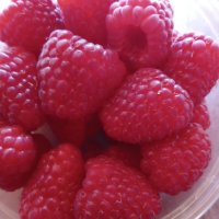продавам разсад ягоди и малини , снимка 3 - Разсади - 44131432