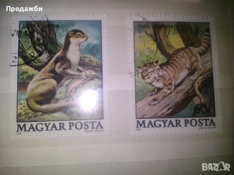 Красива колекция 2 бр. стари Унгарски пощенски марки с животни, 1979 г., снимка 1