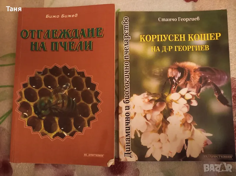 Комплект пчели, снимка 1