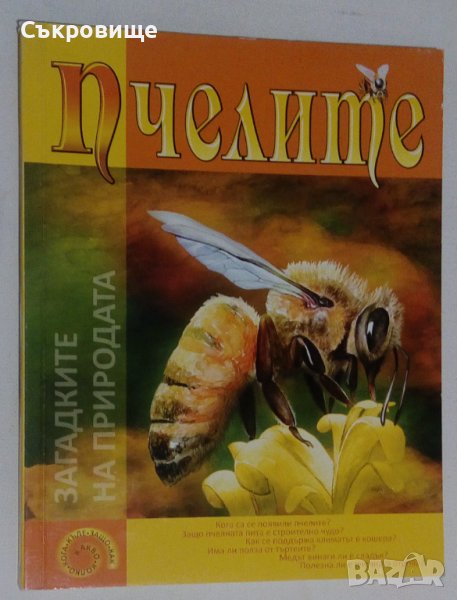 Детска картонена книжка голям формат Пчелите Загадките на природата, снимка 1