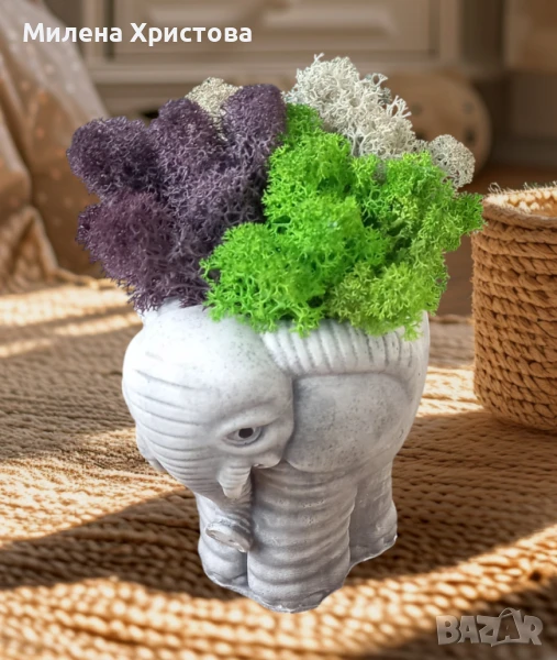 Кашпа със скандинавски мъх , снимка 1