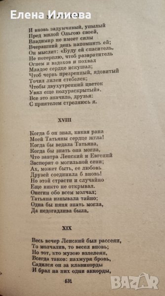 Пушкин  "Евгений Онегин", снимка 1