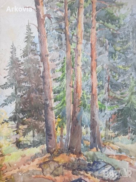 Борова Гора - Стар акварел , снимка 1