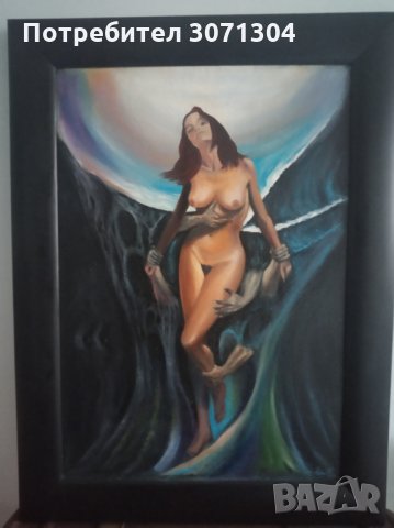 Пленена, снимка 4 - Картини - 33085724