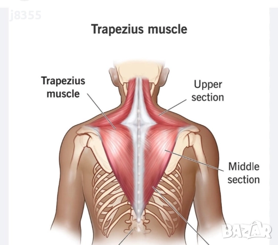 Професионален Масаж квартал Витоша , снимка 11 - Масажи - 50399802