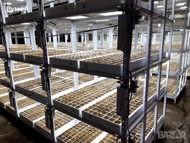 Оборудване за разсадно, снимка 6 - Стелажи и щандове - 43035433