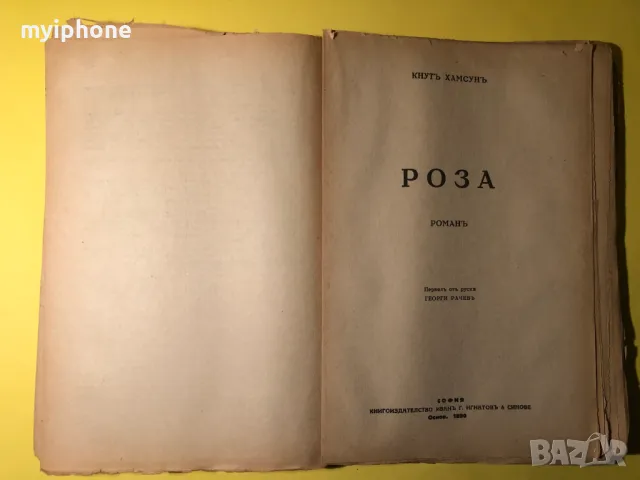 Стара Книга Последна радост/Бенони/Роза // Кнут Хамсун, снимка 6 - Антикварни и старинни предмети - 49279488