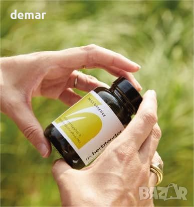 THE HERBTENDER 60 вегански адаптогенни добавки с астрагал, чага и органични супер гъби за имунитет, снимка 5 - Хранителни добавки - 43575531