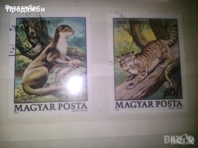 Красива колекция 2 бр. стари Унгарски пощенски марки с животни, 1979 г.