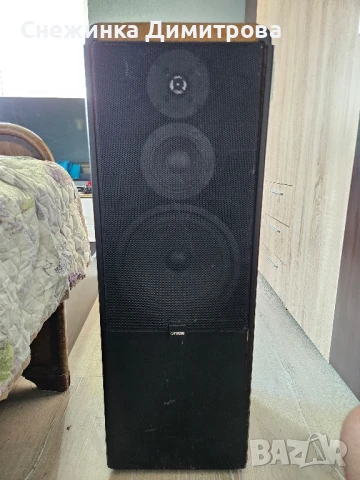 Тонколона Canton CT 80