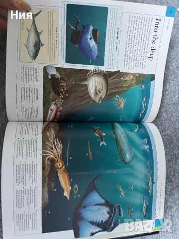 Енциклопедия за Земята на английски+ диск, снимка 6 - Енциклопедии, справочници - 51647935