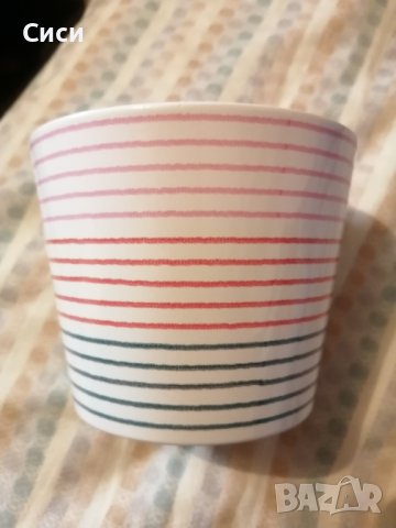 Кашпа германска, снимка 2 - Стайни растения - 38143308