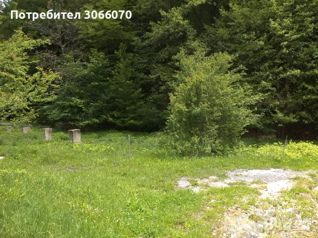 Продавам имот до река, снимка 7 - Къщи - 50265257