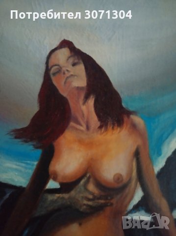 Пленена, снимка 3 - Картини - 33085724