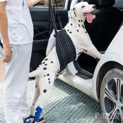 Регулируем колан за кучета, опора за задни крака, рехабилитация, L, снимка 4 - За кучета - 52278589