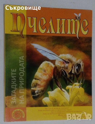 Детска картонена книжка голям формат Пчелите Загадките на природата