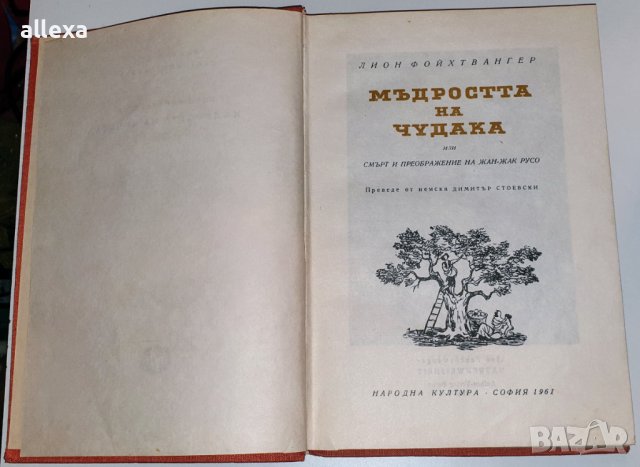 " Мъдростта на чудака ", снимка 2 - Художествена литература - 43354533